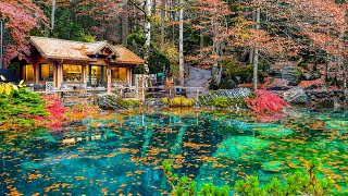 Blausee, the crystal blue lake in a magical forest 🧙🌲 Switzerland 4K 🇨🇭