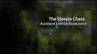 Derby Day - Steeple Chase