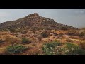 dry semi arid vegetation