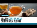 Kayu Bajakah, Benarkah Ampuh untuk Kesehatan tubuh? | Hidup Sehat tvOne