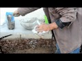 Aircrete Update Video | using green dragon #AircreteHarry #diy #Aircrete #results #Foam