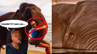 Why Elephants DON’T Think You’re Cute