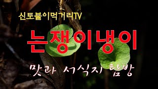 신토불이먹거리TV  는쟁이냉이 맛과 서식지?