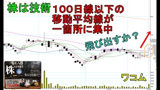 株は技術 100日線以下の移動平均線が一カ所に集中。飛出しそう！ ショートトレード ワコム