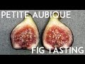 Fig Variety Tasting: Petite Aubique