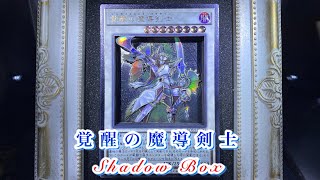 【シャドーボックス】覚醒の魔導剣士（エンライトメント•パラディン）を3D化してみた【遊戯王】 #shortsD