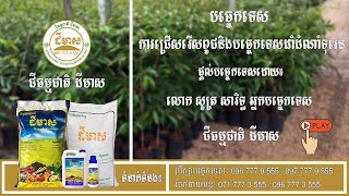 ជីធម្មជាតិ ដីមាស | ការជ្រើសរើសពូជនិងបច្ចេកទេសដាំដំណាំទុរេន