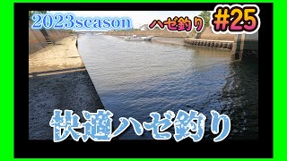 2023年【ハゼ釣り#25】7月18日‗初調査の日陰ポイントで釣ってみたら☆‗釣果情報