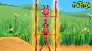 Fire Ants 🔥 | ANTIKS | Funny Cartoons For All The Family!