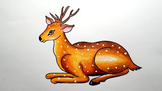 How To Draw Deer Step By Step || Deer Drawing Colour || Easy Deer Drawing || Creativity Studio..