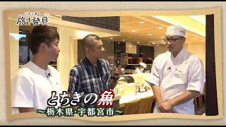 U字工事の旅！発見#265　とちぎの魚