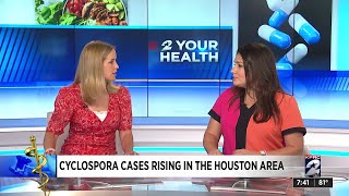 Cyclospora cases rising in the Houston area