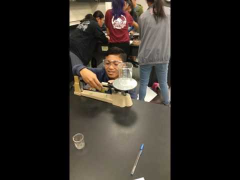 How do you find the mass of an empty beaker?