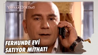 Mithat, Ferhunde'nin Tapuyu Aldğını Öğrendi! - Yaprak Dökümü Özel Bölüm