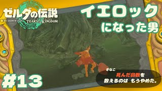 知りたいことばかりで困る【ゼルダの伝説 ティアーズ オブ ザ キングダム】#13