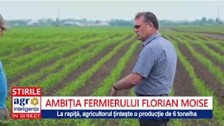 Fermierul Florian Moise țintește 6 tone la hectar la rapiță