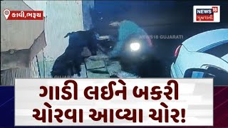 Bharuch News : ગાડી લઈને બકરી ચોરવા આવ્યા ચોર! | CCTV | Got Theft | Robbery | Gujarati News | N18V