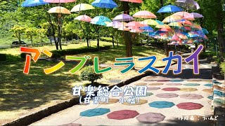 アンブレラスカイ～鮮やかな傘が舞う遊歩道～♪プチナレーション入り！