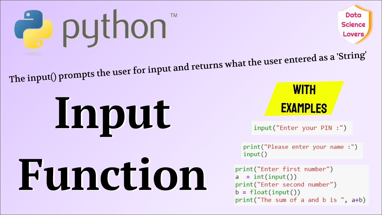 S input python