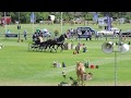 Driving Valkenswaard International Cones 2019: Raymond Letteboer