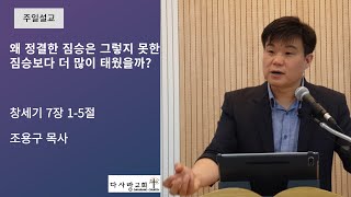 [주일설교] 2024.9.22. (창세기7장1-5절) 다사랑교회 조용구 목사