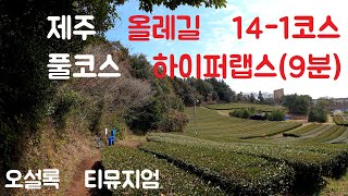 제주 올레길 14-1코스(저지-서광 올레)