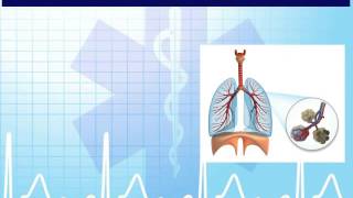 EMT 7 2 Geriatrics
