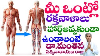 మీ ఒంట్లో రక్త నాళాలు హార్డ్ అవ్వకుండా టెక్నిక్ | Blood vessels | Dr Manthena Satyanarayana Raju