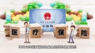 #新加坡EP #新加坡自雇移民 🇸🇬在新加坡，一张EP卡有大作为 1