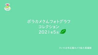 ボラカメさんフォトグラフコレクション（広報カメラ協力員２０２１年５月撮影）