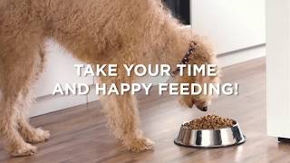 Hill's UK & IE: Science Plan - Switching to a new DOG food
