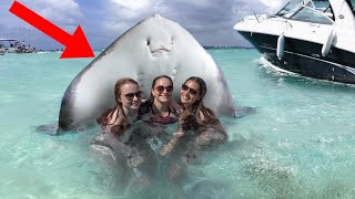 15 Friendly Aquatic Creatures