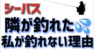 【シーバスが釣れるヒント満載】周囲で釣れてるのに自分には釣れない…そんなお悩み一発解決講座！