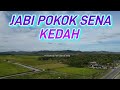 JABI POKOK SENA KEDAH DARULAMAN#PERTANIAN YANG MAKMUR