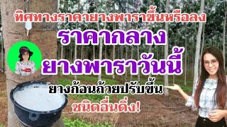 แจ้งข่าว!ราคายางพาราประจำวันที่5กรกฎาคม2564