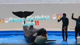 🎉🎂Happy Birthday 🎂🎉Luna😊❤️