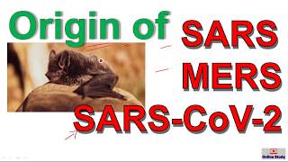 Origin of Coronavirus II SARS, MERS, SARS-CoV-2 or COVID-19