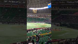 Take A Look Inside A Japanese Baseball Stadium. #shorts #travel #fukuoka #japan #baseball