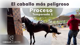 🐴🧨 EL CABALLO MÁS PELIGROSO ⚡💣  -  Resumen del proceso - Temporada 1 - Doma racional