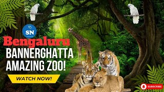 Bannerghatta Zoo Bangalore Full Tour | Travel \u0026 Wildlife Experience #love #youtube #youtubeshorts