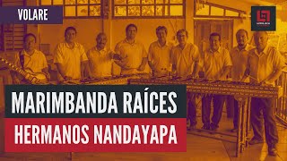 Marimbanda Raíces Hermanos Nandayapa. «Volare» | XX Festival de Marimbistas