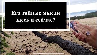 🔮Его тайные мысли  здесь и сейчас? Расклад на картах таро