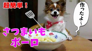 【 超簡単！】さつまいもボーロ、犬と一緒に作ってみた！