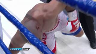 Wladimir Klitschko Beats Alex Leapai in 5th Round 26-4-2014