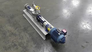 Seepex 40" Long X 4" Wide Progressive Cavity Pump.
