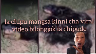 chipu mangsa kinni cha viral video bilongjok ia chipude