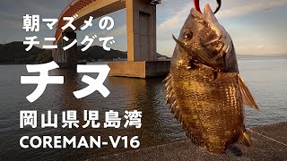 岡山ルアー&香川ヘチ釣り！ 40cm超えのチヌ（黒鯛）HIT！岡山県児島湾大橋＋香川県直島　#チニング #チヌ #黒鯛 #コアマン #VJ16 #10月 #直島 #岡山 #児島湾 #香川県