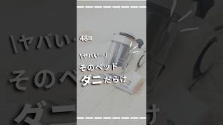 【48日目】ヤバい…そのベッドダニだらけ　#布団クリーナー#寝室#掃除