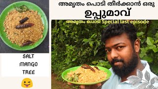 അങ്ങനെ SALT MANGO TREE  ഉണ്ടാക്കി ഞാൻ അമൃതം പൊടി തീർത്തു.സന്തോഷമായില്ലേ😁