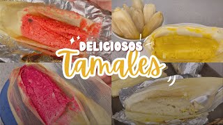 TAMALES DULCE, PIÑA🍍,VERDES🫔 Y FRESA🍓/FABI ZEA